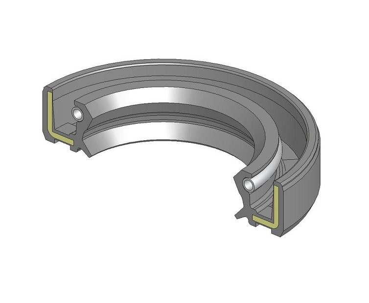 Anello di tenuta 40x60x10 TC