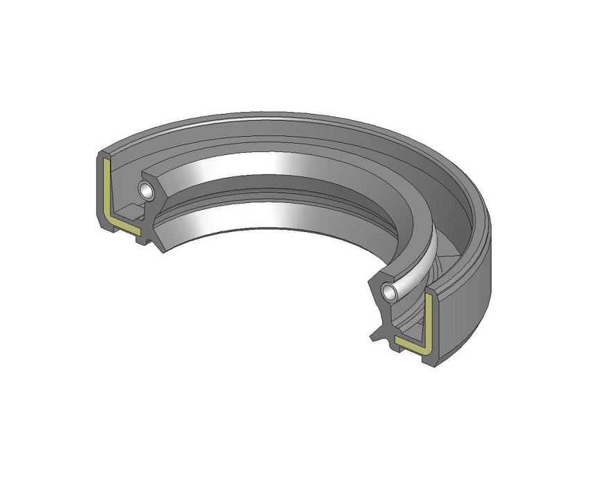 Anello di tenuta 25x50x10 GP