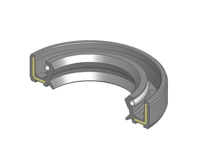 Anello di tenuta 25x50.55x10 TC